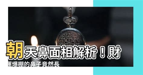 鼻長 面相